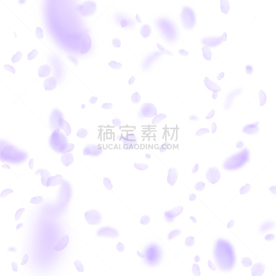 浪漫,花瓣,紫色,完美,分离着色,白色,请柬,粉色,落下,庆祝