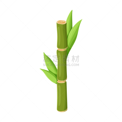 茎,甘蔗,计算机图标,生物学,农业,蔬菜,清新,环境,食品,果汁