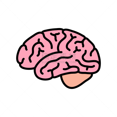 人脑,生理学,生物学,商务,半球体,概念,品牌名称,思考,设计