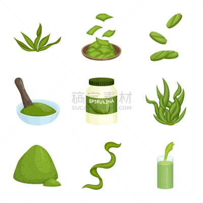 螺旋菌,计算机图标,海草,蔬菜,素食,健康保健,螺线,营养品,食品,维生素