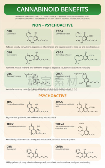 教科书,信息图表,待遇,垂直画幅,生物学,健康保健,心肺系统,替代医药,比较,分子
