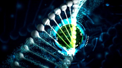  DNA(可循环)