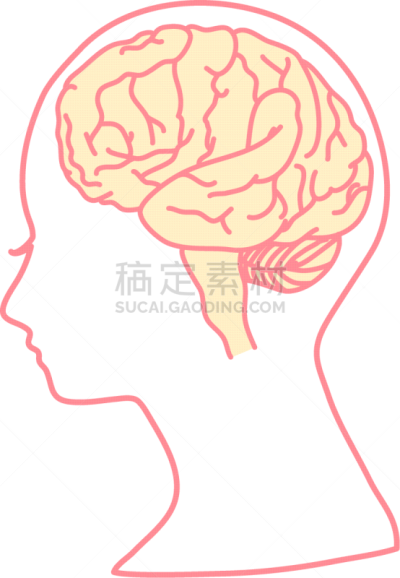 科学,人脑,秘密,生物学,健康保健,记忆,女人,大脑边缘系统,想法,x光片