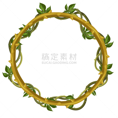 枝,野生植物,藤蔓植物,边框,环境,野生动物,植物群,公园,植物,缠绕