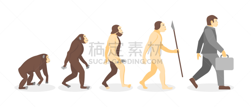 猴子,舞台,分离着色,白色,商务,人,男人,概念,人属,进化