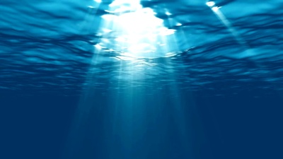 加勒比海泻湖水下美丽的场景光，环路