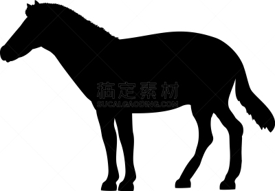 已灭绝生物,动物,马,脊索动物类,黑色,动物学,考古学,古生物学,剪影