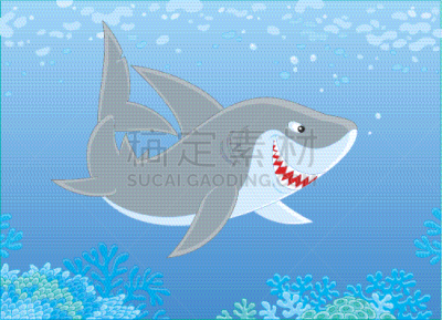 灰角鲨,礁石,自然,海洋生命,野生动物,图像,海洋,动物,覆盖,进攻