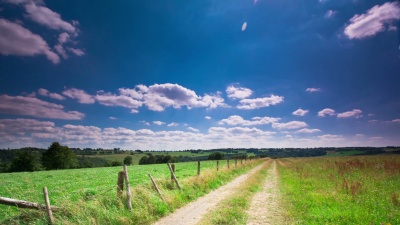 夏季景观