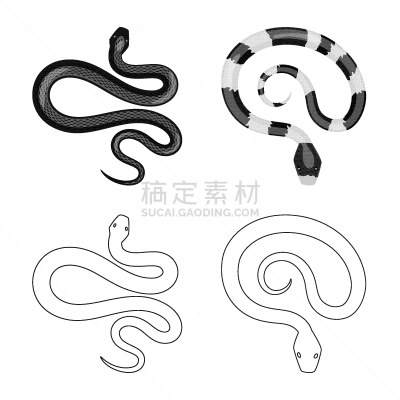 哺乳纲,危险,分离着色,品牌名称,一个物体,螺线,蛇,动物,两栖纲