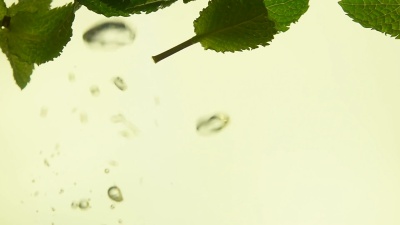 在茶中关闭新鲜的绿色薄荷叶