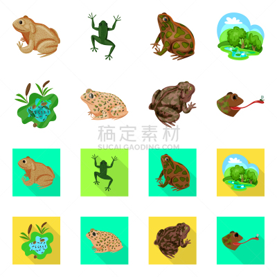 野生动物,分离着色,藓沼,品牌名称,一个物体,生物学,有毒物质,环境,青蛙,草