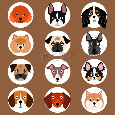 狗,小的,似人脸,可爱的,背景分离,边框,查理王小猎犬,日本柴犬,巴哥犬,哈巴狗