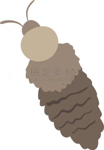 虱子,白色背景,头的（医学词汇）,交通,吸血动物,头发,动物,人虱,儿童,剪影