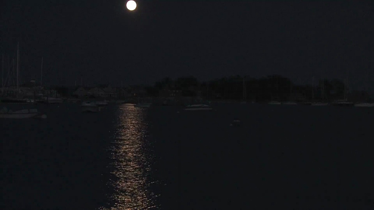 月光月亮 月光月亮图片 月光月亮素材下载 稿定素材