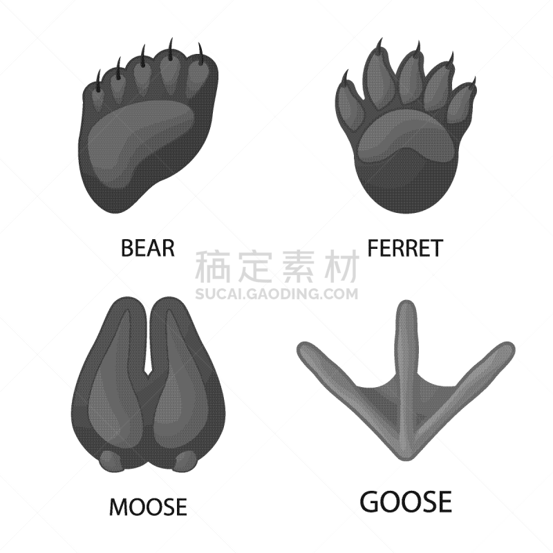 脉搏图,野生动物,分离着色,标志,一个物体,脚印,灰色,莫诺湖,蹄,布置