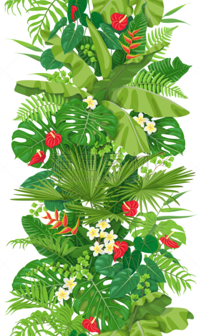 垂直画幅,国境线,热带的花,雨林,夏天,式样,自然,图像,矢量,植物群