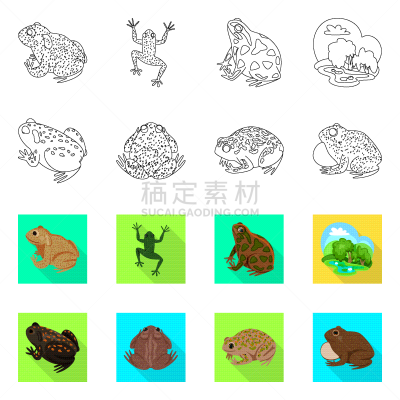 野生动物,标志,藓沼,式样,生物学,有毒物质,草,动物,牛蛙,收集