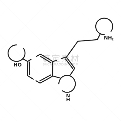 羟色胺,计算机图标,矢量,黑色,扁平化设计,直的,酸,生物学,健康保健,药