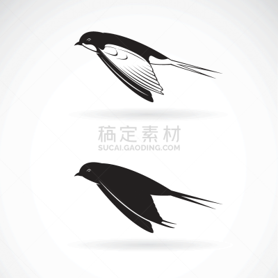 鸟类,品牌名称,绘画插图,矢量,家燕,图标,野外动物,多层效果,式样,飞