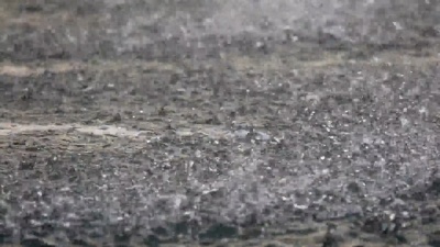 芦苇暴雨