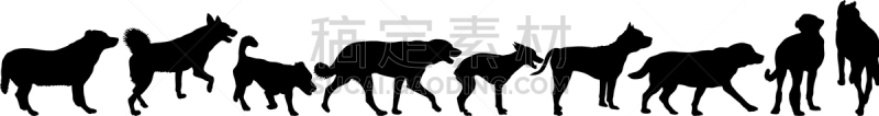 狗,黑色,白色背景,纯种犬,梗犬,动物,斯班尼犬,剪影,布置,坐