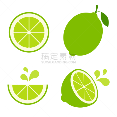 矢量,绘画插图,酸橙,白色,动机,可爱的,横截面,清新,背景分离,热带气候