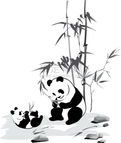 熊猫,婴儿,笋,分离着色,可爱的,白色,亚洲,自然,动物园,吃