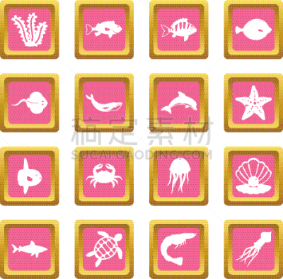 粉色,海洋生命,可爱的,图像,鲽,水母,海洋,鲸,海豚,收集