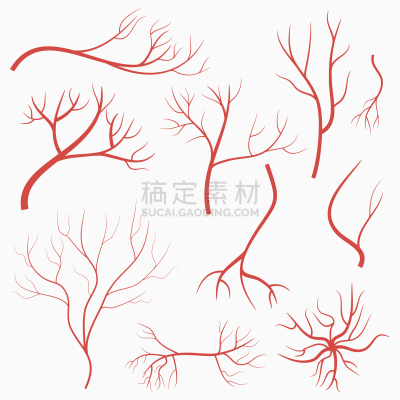 红色,血管,人的眼睛,舞台,毛细血管,生物学,健康保健