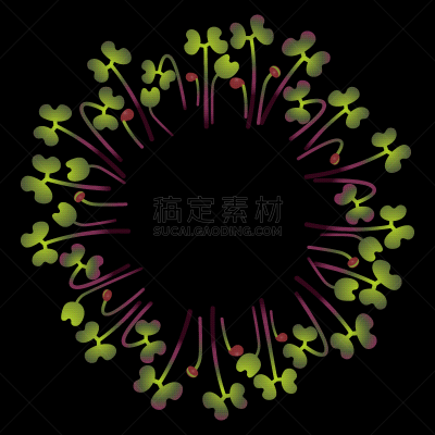 红球甘蓝,蔬菜,素食,清新,维生素,抗炎,植物群,模板,布置,聚集