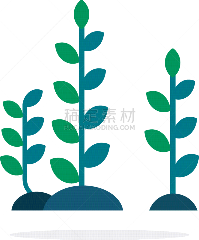 long algae with leaves