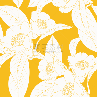 茶花,植物群,轮廓,叶子,插画,华丽的,纺织品,壁纸,自然美,花