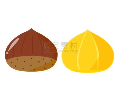 秋天,栗子,矢量,绘画插图,自然,健康食物,烤的,食品,图像,浆果