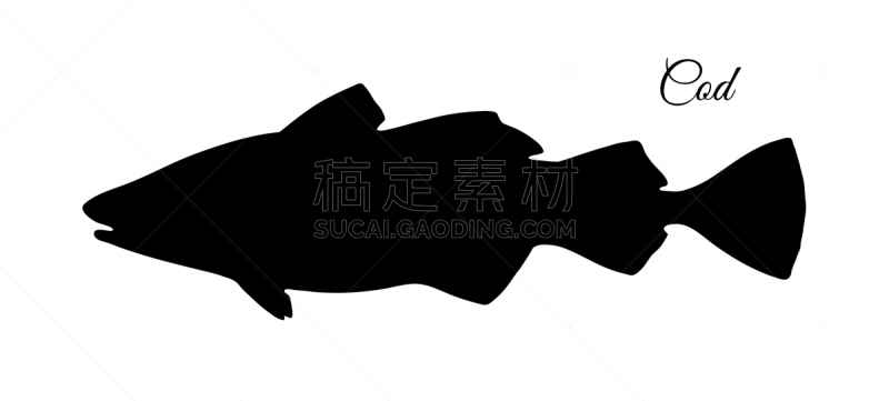 鳕鱼,分离着色,自然,精神振作,肉,白色背景,海产,清新,剪影,烹调