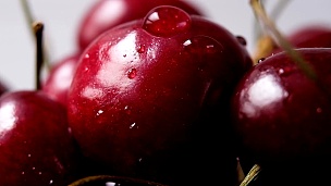 一滴水顺着白色背景上成熟的樱桃浆果流下来。特写，慢动作。