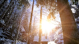 浪漫的冬季雪山树木自然景观全景