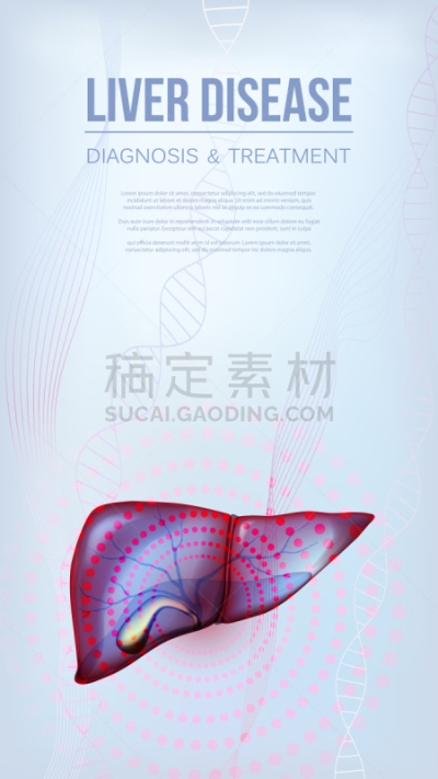 肝脏,垂直画幅,传媒,胆囊,健康保健,背景分离,药,癌症,肝炎,市场营销