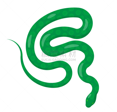 蛇,巨蟒,绿色,视角,计算机图标,顶部,分离着色,自然,动物园,斑点