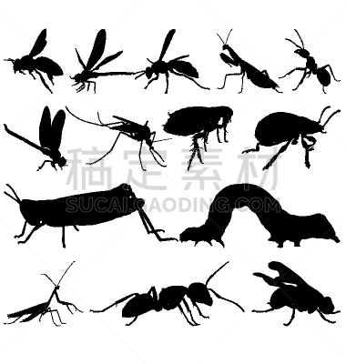 昆虫,蜻蜓,蚊子,矢量,蠷螋,蝗虫,图像,甲虫,蚂蚁,剪影