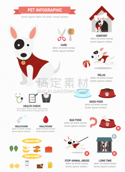 狗,信息图表,健康保健,自然,图像,矢量,水果,收集,生长