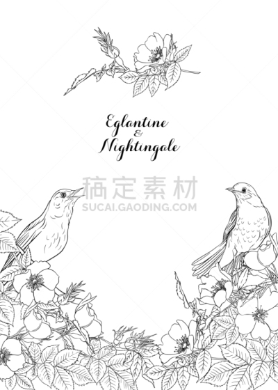 狗,玫瑰,请柬,夜莺,浪漫,婚礼,鸟类,爱,复古,绘制