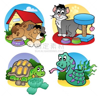 宠物,多样,两只动物,可爱的,狗屋,自然,猫,蛇,狗,哺乳纲
