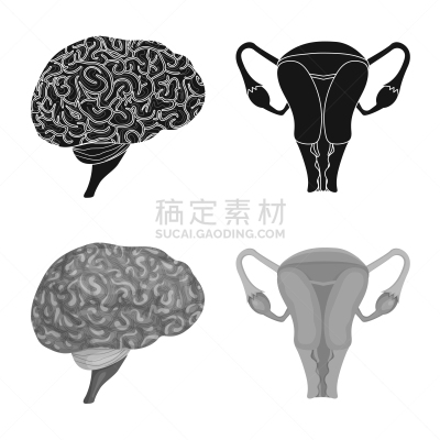 人,分离着色,图标集,人造物,人类的生殖器官,卵巢,生病,收集