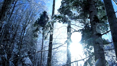 浪漫的冬季雪山树木自然景观全景