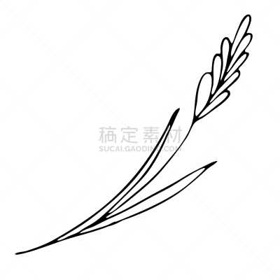 乱画,矢量,彩色书,秋天,小麦,农作物,九月,寒冷,十月,背景分离