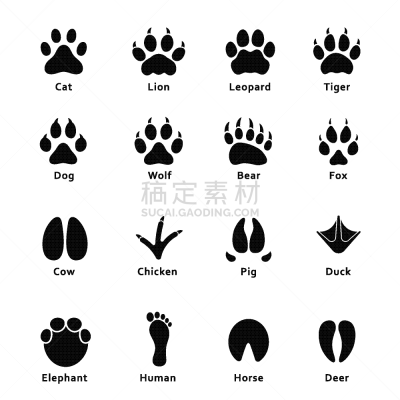脚印,动物,爪印,反差,脉搏图,狮子,狗,象,猪,布置