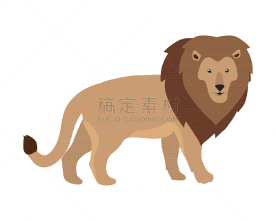 狮子,可爱的,性格,自然美,力量,好奇心,生气,自然,图像