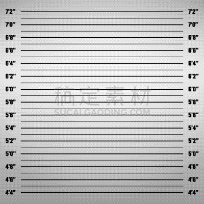 警官,通缉照,背景,测量工具,肖像,图表,猜疑