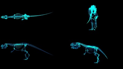 Trex Xray骨架行走周期，3D动画循环，Alpha通道
